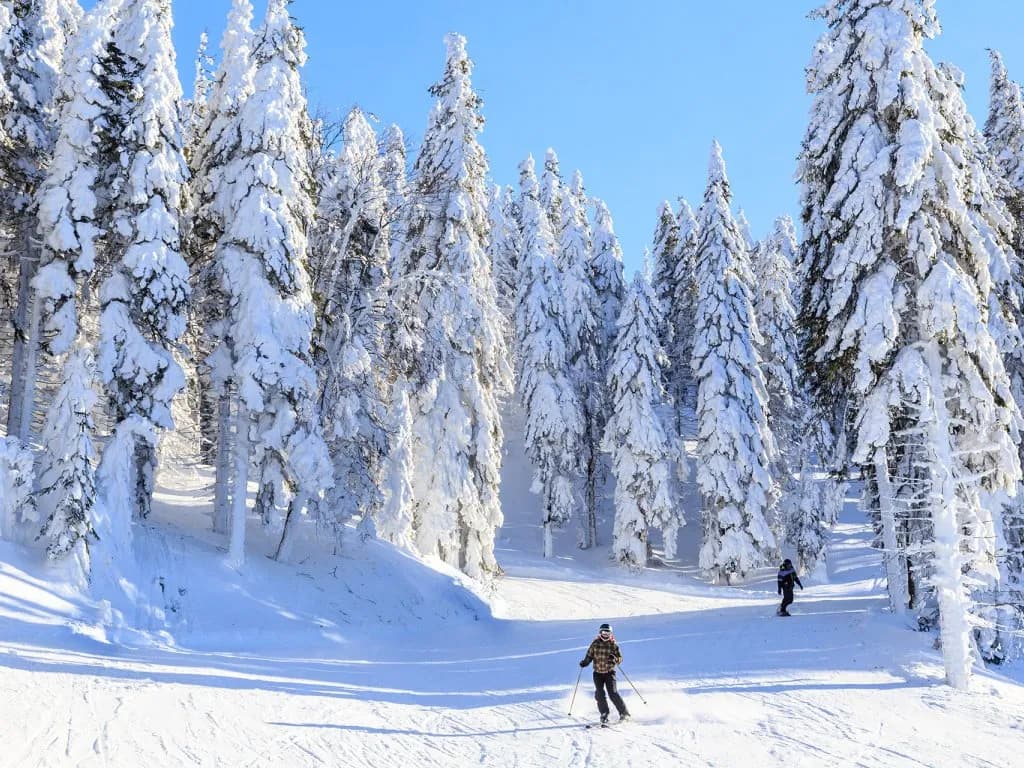 Gdzie na narty w Polsce bez tłoku? Odkryj spokojne ośrodki narciarskie Gdzie na narty w Polsce bez tłoku? Odkryj spokojne ośrodki narciarskie