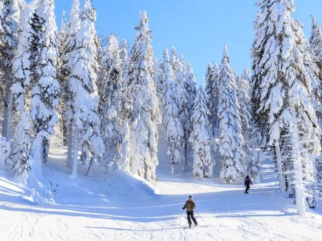 Gdzie na narty w Polsce bez tłoku? Odkryj spokojne ośrodki narciarskie Gdzie na narty w Polsce bez tłoku? Odkryj spokojne ośrodki narciarskie