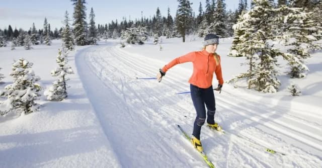 Gdzie na narty biegowe? Odkryj najlepsze trasy w Polsce i uniknij rozczarowania Gdzie na narty biegowe? Odkryj najlepsze trasy w Polsce i uniknij rozczarowania